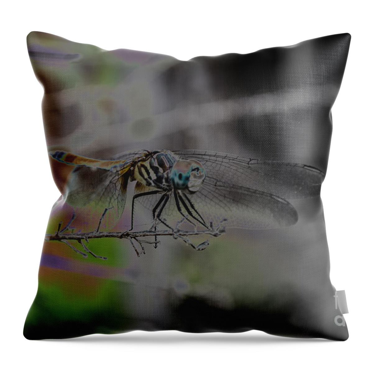 Insect Throw Pillow featuring the photograph Dragonfly by Donna Brown