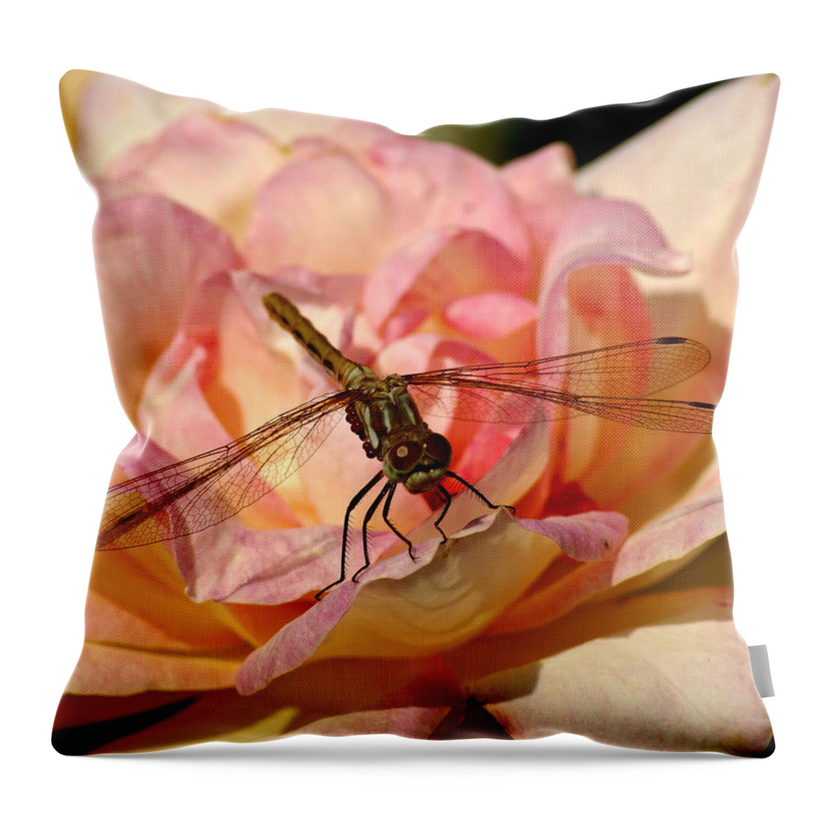 Dragonflies Throw Pillow featuring the photograph Dragonfly on a Rose by Ben Upham III