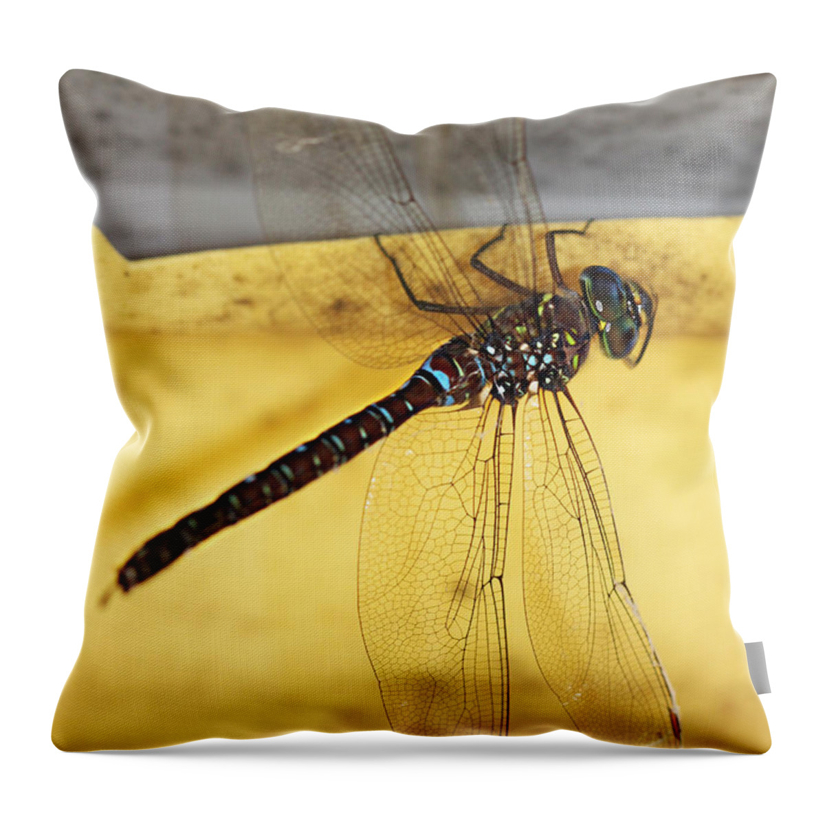 Dragonfly Throw Pillow featuring the photograph Dragonfly Web by Melanie Lankford Photography