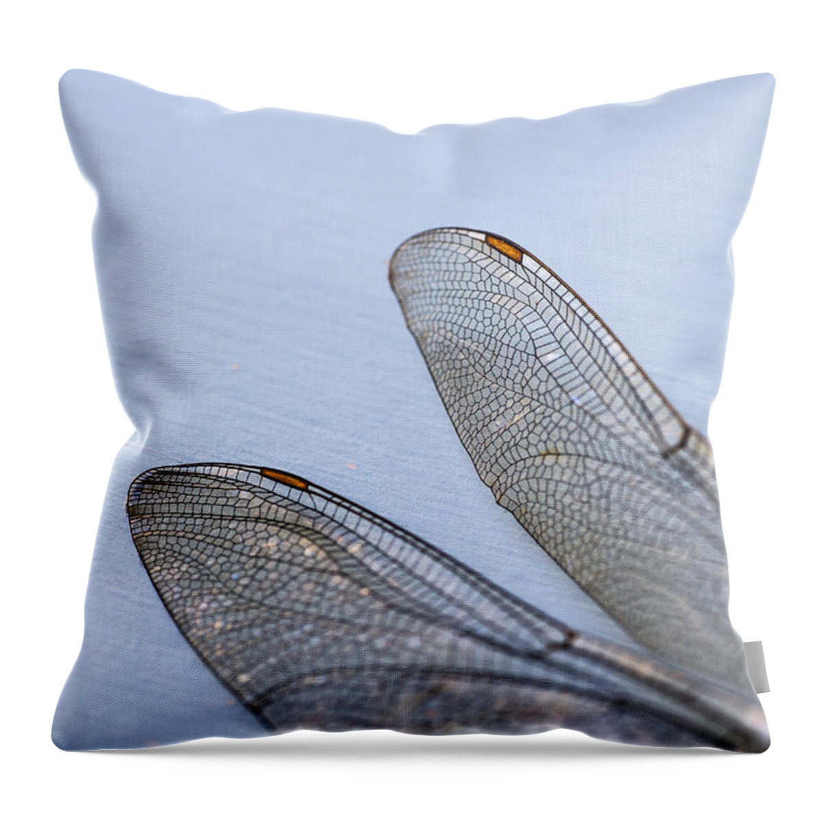 Dragonfly Throw Pillow featuring the photograph Dragonfly Wings 3 by Jan Bickerton