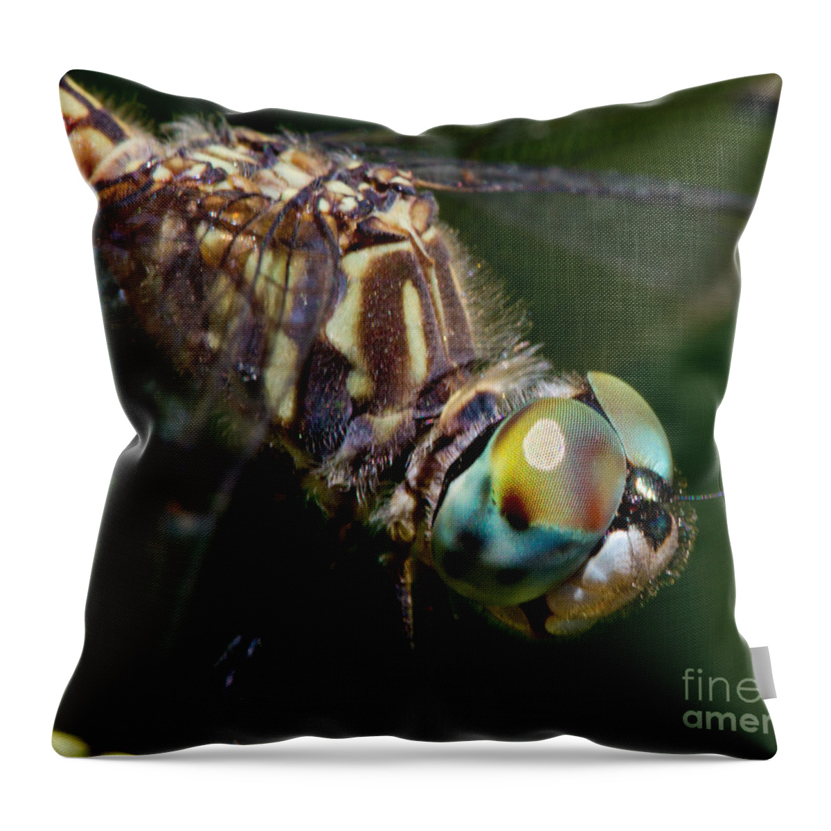 Insect Throw Pillow featuring the photograph Dragons Breath by Robert Woodward