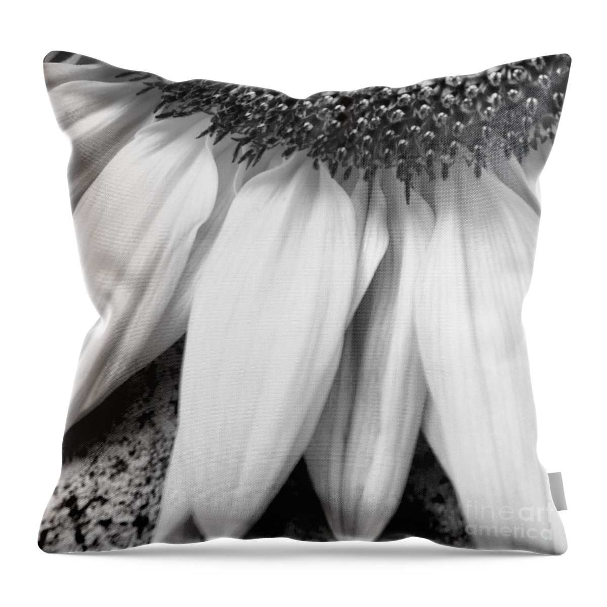 Wall Art Throw Pillow featuring the photograph Drained and Still Beautiful by Charlie Cliques