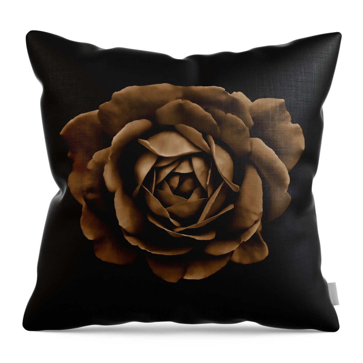 Rose Throw Pillow featuring the photograph Dramatic Brown Rose Portrait by Jennie Marie Schell