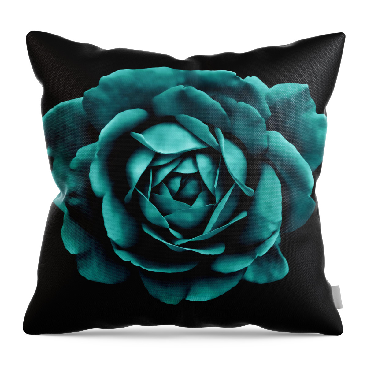 Rose Throw Pillow featuring the photograph Dramatic Teal Green Rose Portrait by Jennie Marie Schell