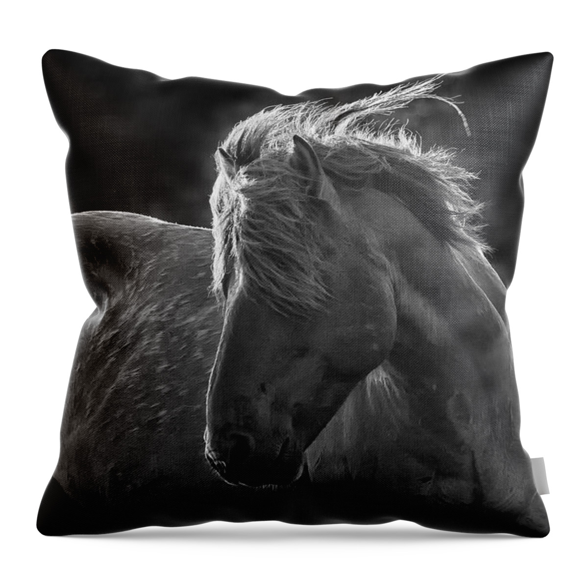 Wild Throw Pillow featuring the photograph Dramatic Wild Mustang by Bob Decker