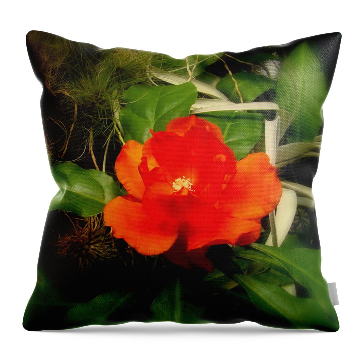 Fine Art Throw Pillow featuring the photograph Dream Flower by Rodney Lee Williams