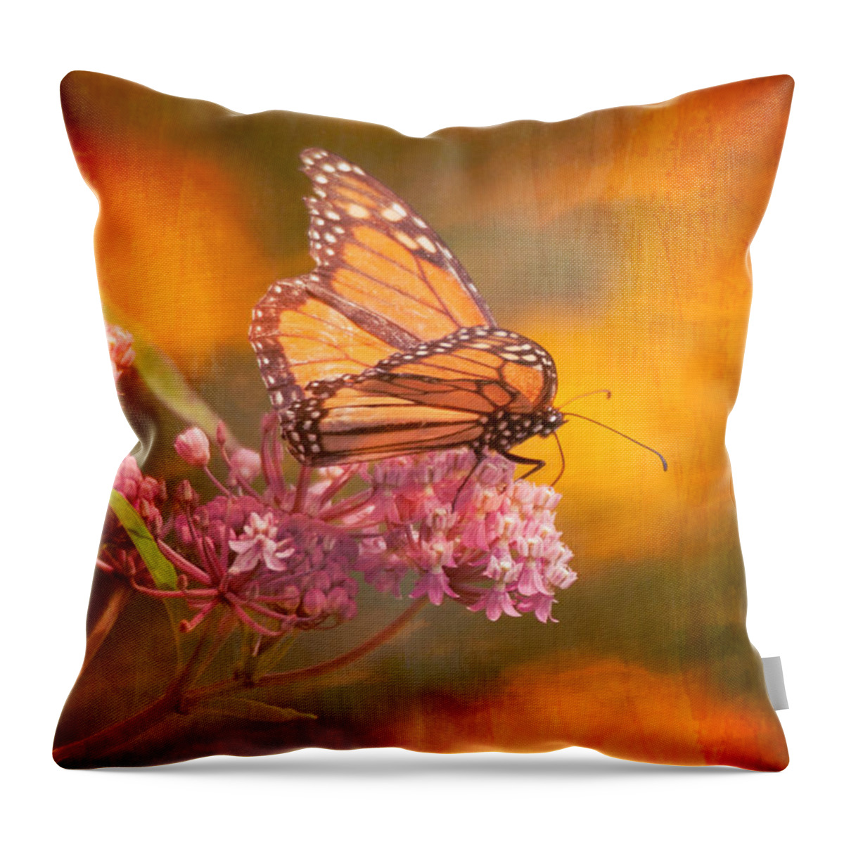 Salem Throw Pillow featuring the photograph Dream Gatherer by Jeff Folger