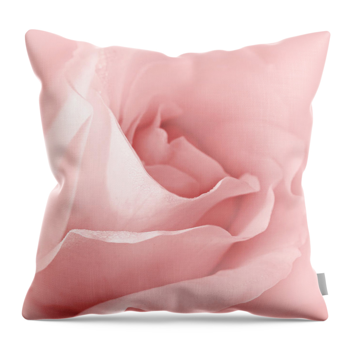 Rose Throw Pillow featuring the photograph Dreaming of Pink Roses by Jennie Marie Schell