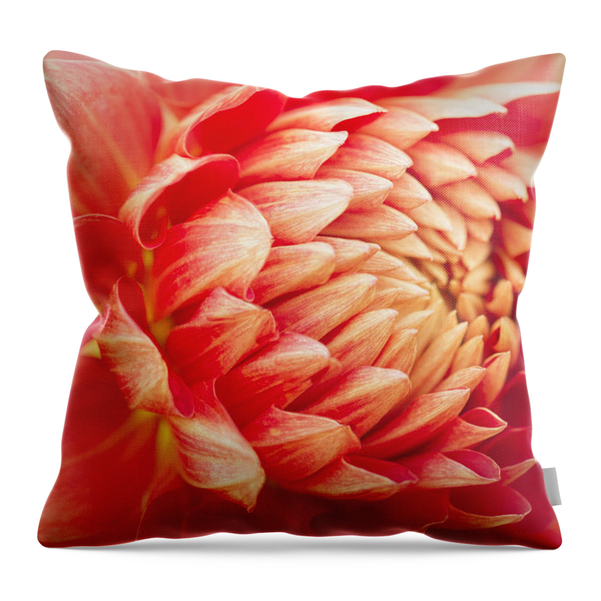 Florals Throw Pillow featuring the photograph Dreamy Day by Marilyn Cornwell