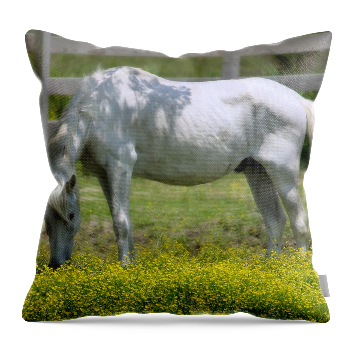 Misty Pony Throw Pillow featuring the photograph Dreamy Pony by Mary Almond