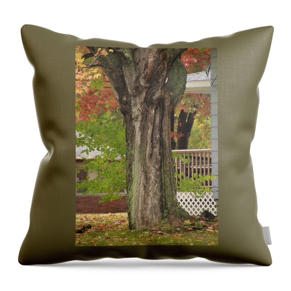 Fall Throw Pillow featuring the photograph Old Maple Tree Dressed for Fall by Valerie Collins