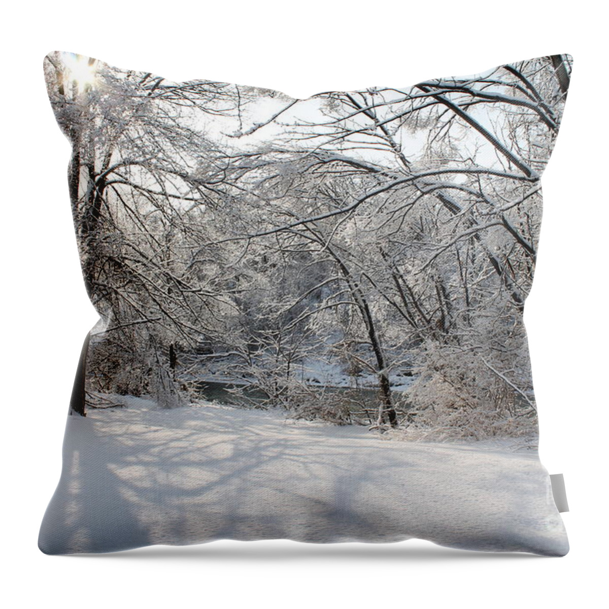 Winter Throw Pillow featuring the photograph Dressed in Snow by Nina Silver