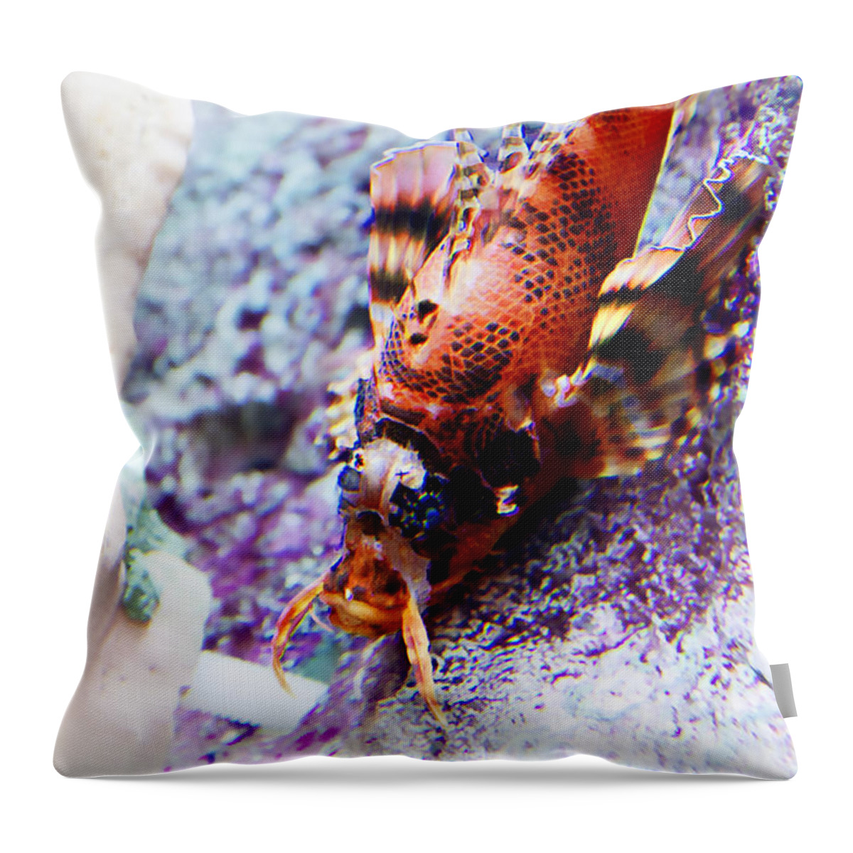 Ocean Throw Pillow featuring the photograph Dressed Up... by Milena Ilieva