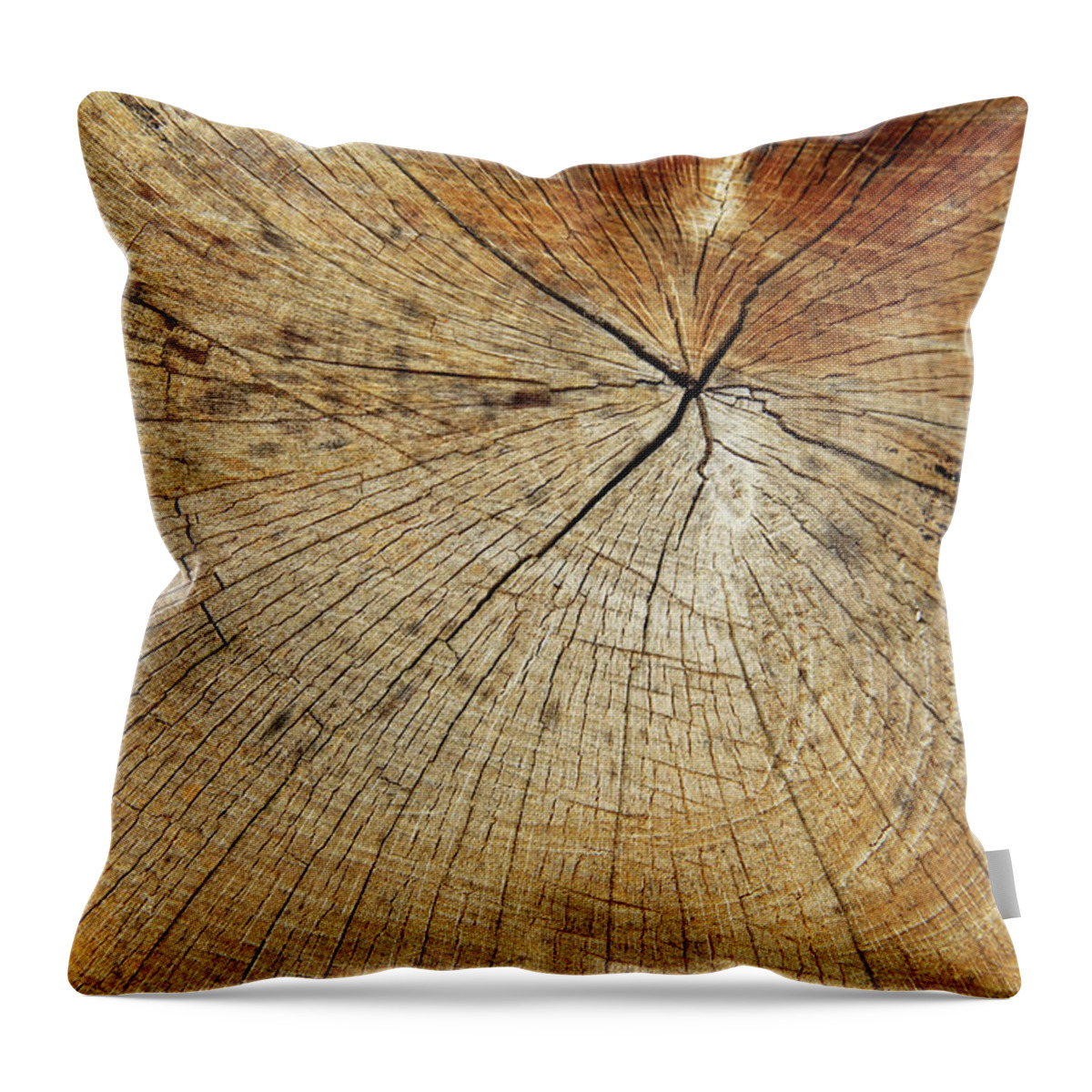 Material Throw Pillow featuring the photograph Dried Beech - Natur Backgrounds by Basieb