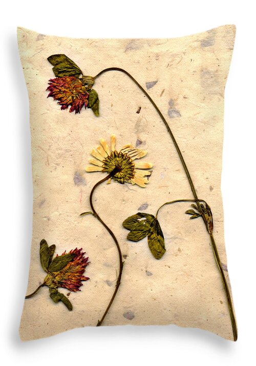 Dried Flowers Throw Pillow featuring the photograph Dried Flowerrs 1 by Matthew Pace