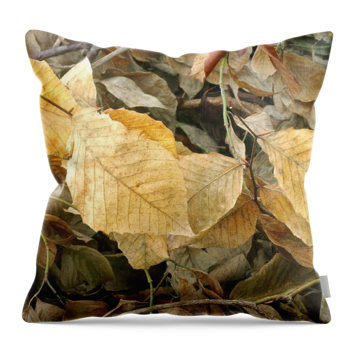 Leaves Throw Pillow featuring the photograph Dried Leaf Still Life by Suzanne Powers