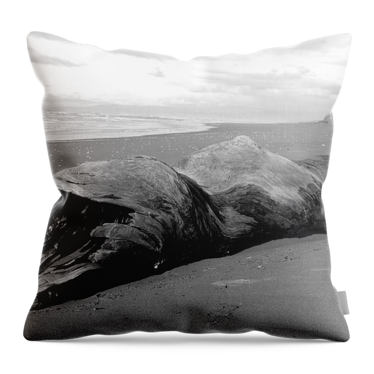 Driftwood Throw Pillow featuring the photograph Drifter II by Leigh Meredith