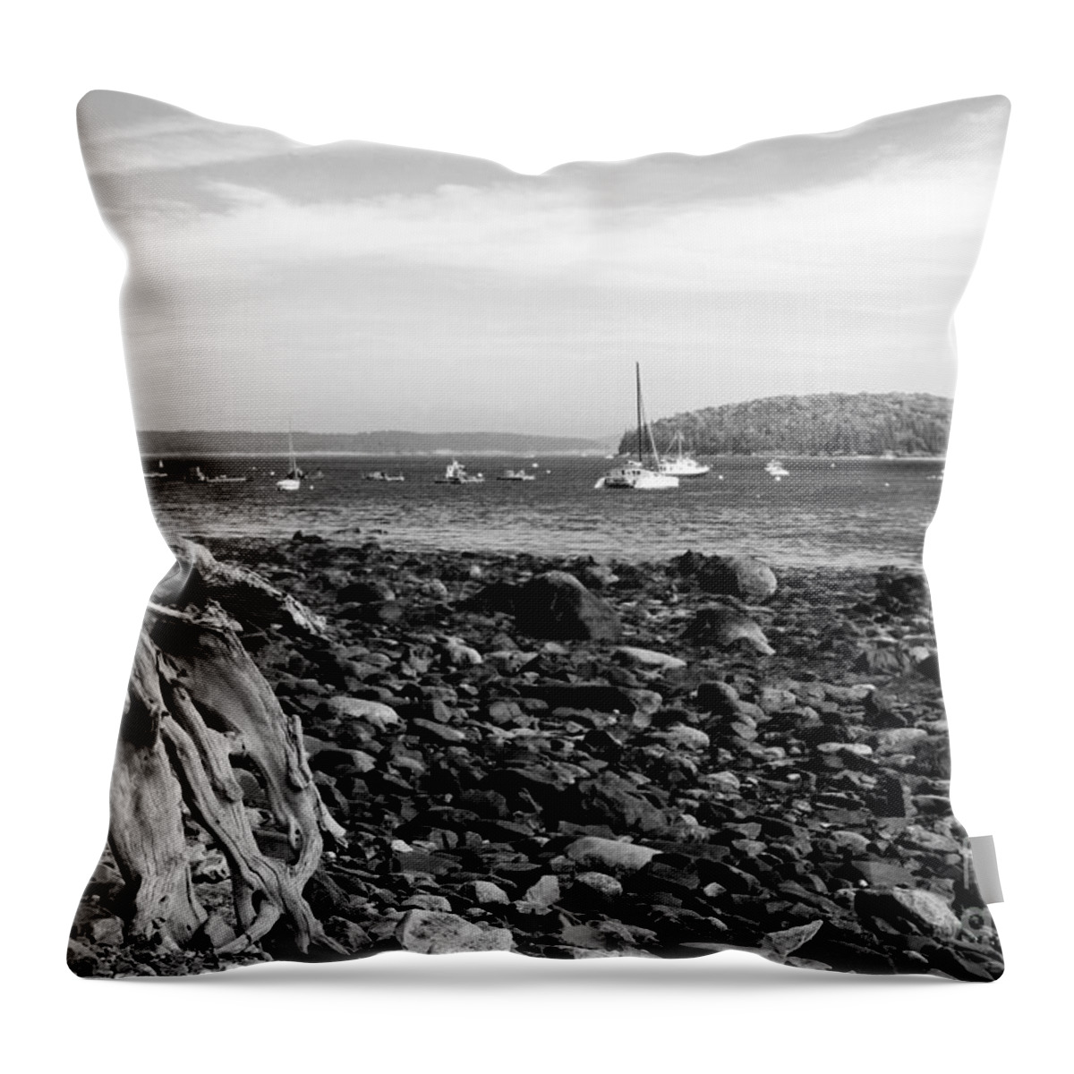 Driftwood On Rocky Beach Throw Pillow featuring the photograph Driftwood and Harbor by Jemmy Archer