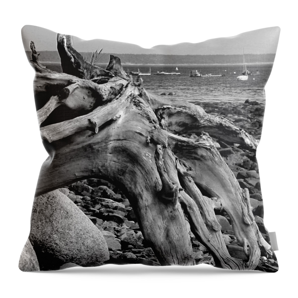 Driftwood On Rocky Beach Throw Pillow featuring the photograph Driftwood on Rocky Beach by Jemmy Archer
