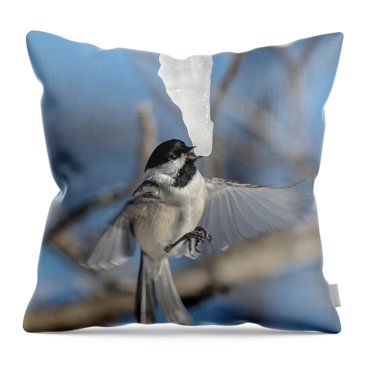 Blue Sky Throw Pillow featuring the photograph Drinking in Flight by Cheryl Baxter
