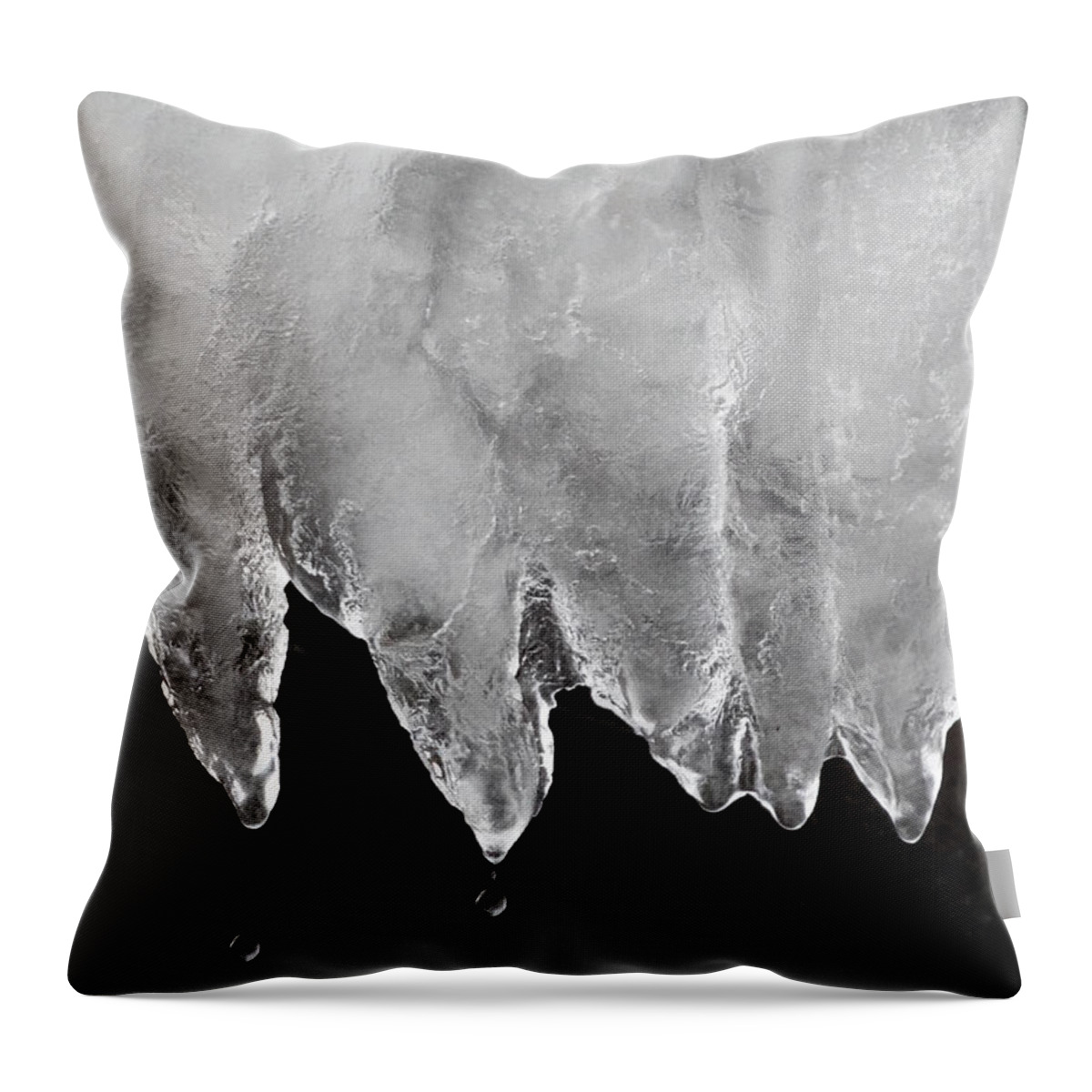 Winter Throw Pillow featuring the photograph Drips by David T Wilkinson