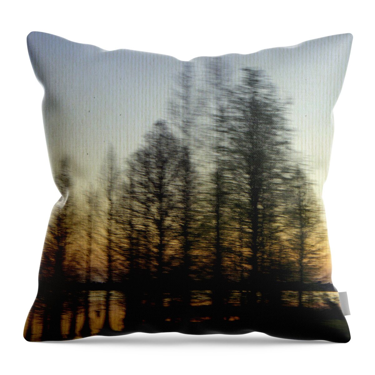 Lake Parker Throw Pillow featuring the photograph Driving By by Laurie Perry