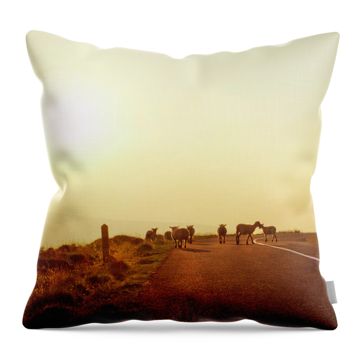 Dublin Throw Pillow featuring the photograph Dublin Mountain Road In Summer by Image By Catherine Macbride