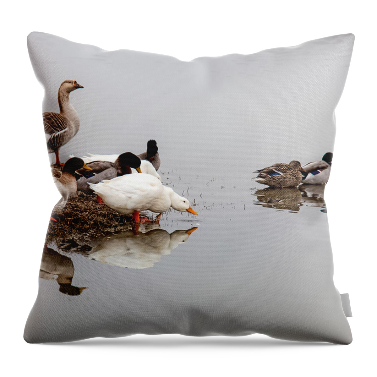 Duck Throw Pillow featuring the photograph Duck Duck Goose Goose... by Mark Alder