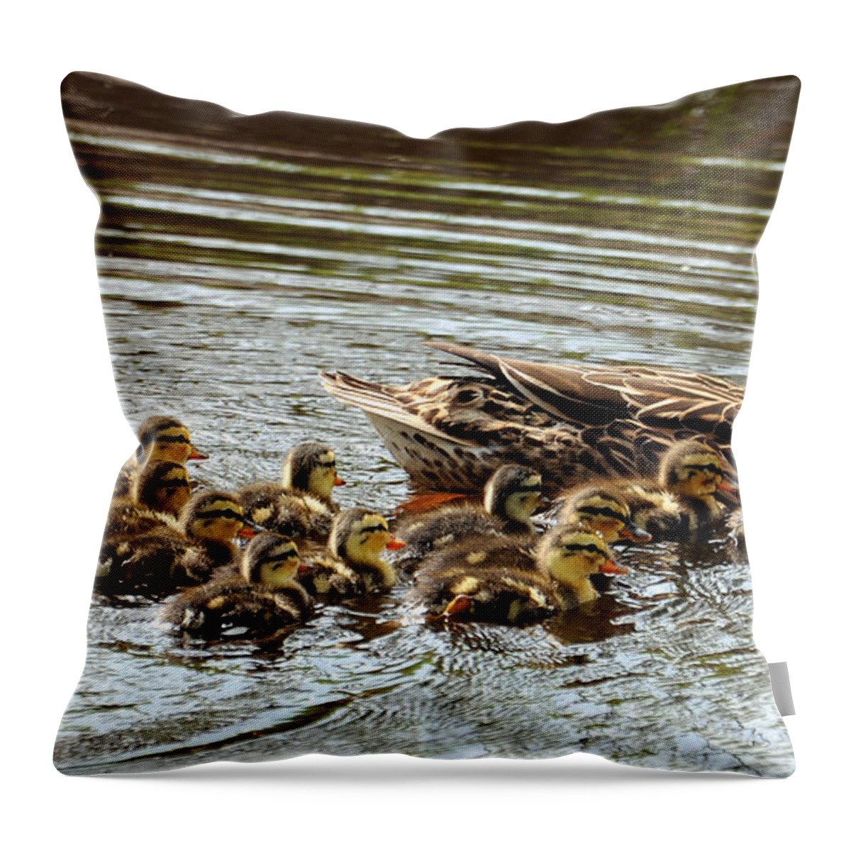 Duck Throw Pillow featuring the photograph Duck Family by David Hart