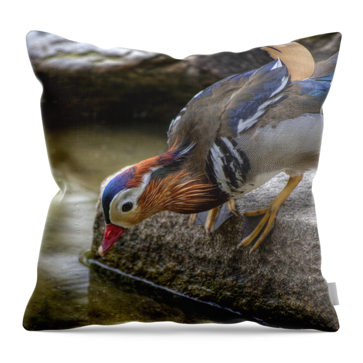 Duck Throw Pillow featuring the photograph Duck On The Edge by Diego Re