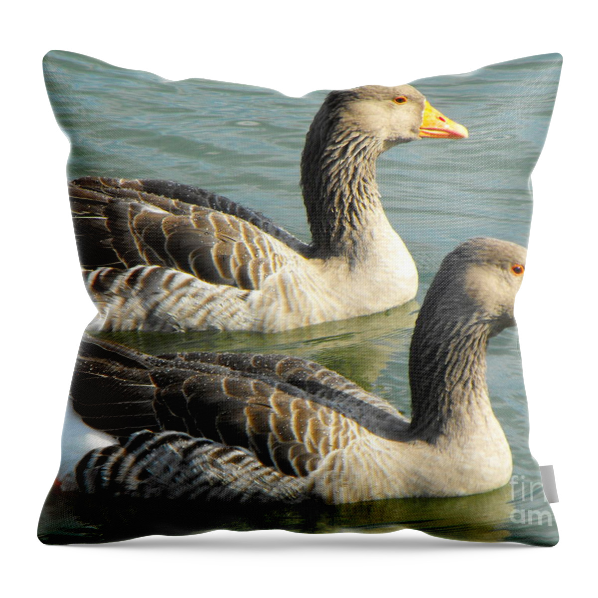 Duck Throw Pillow featuring the photograph Duck Twins by Erick Schmidt