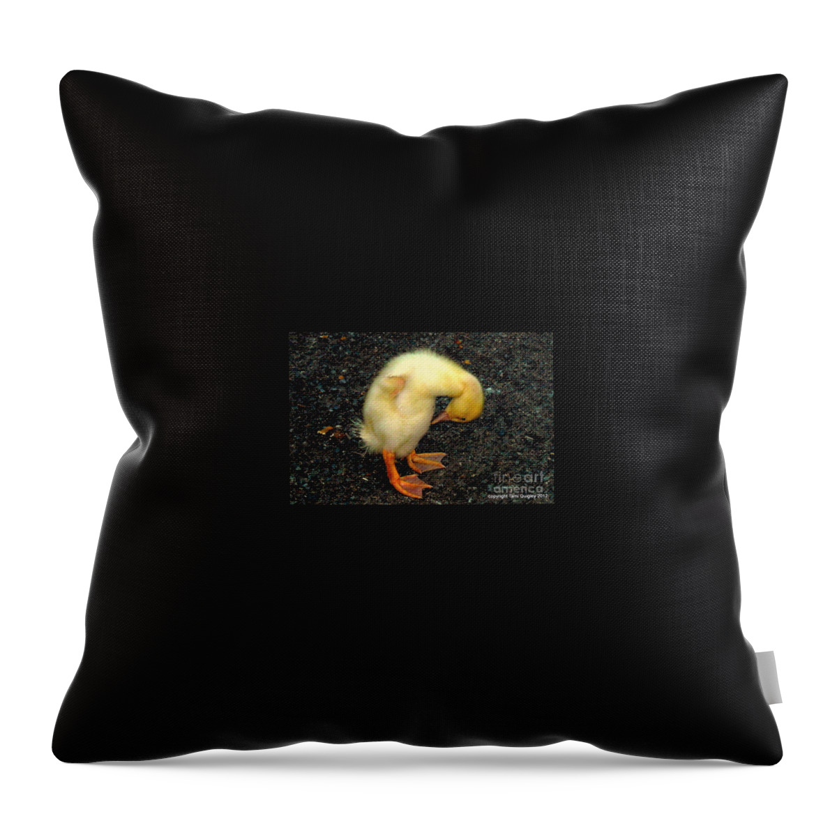 Duckling Throw Pillow featuring the photograph Duckling Takes A Bow by Tami Quigley