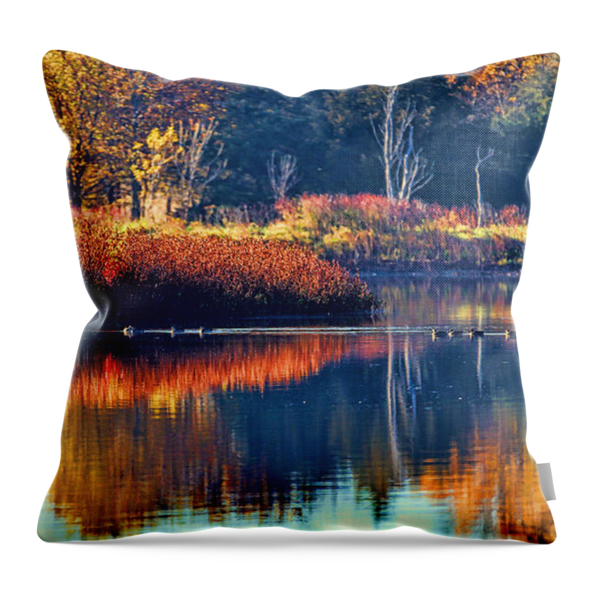 Reflections Throw Pillow featuring the photograph Ducks in Paradise by Elizabeth Winter
