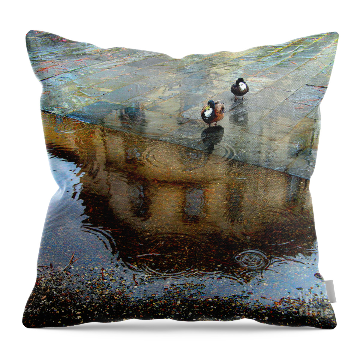 Mallard Throw Pillow featuring the photograph Ducks of Isola Madre.Italy by Jennie Breeze