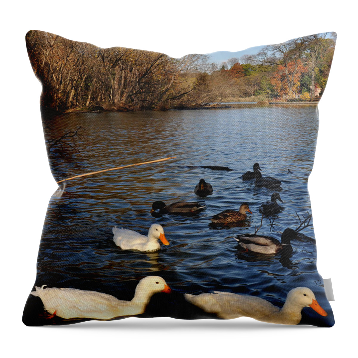 Ducks Throw Pillow featuring the photograph Ducks on the lake. by Diane Lent