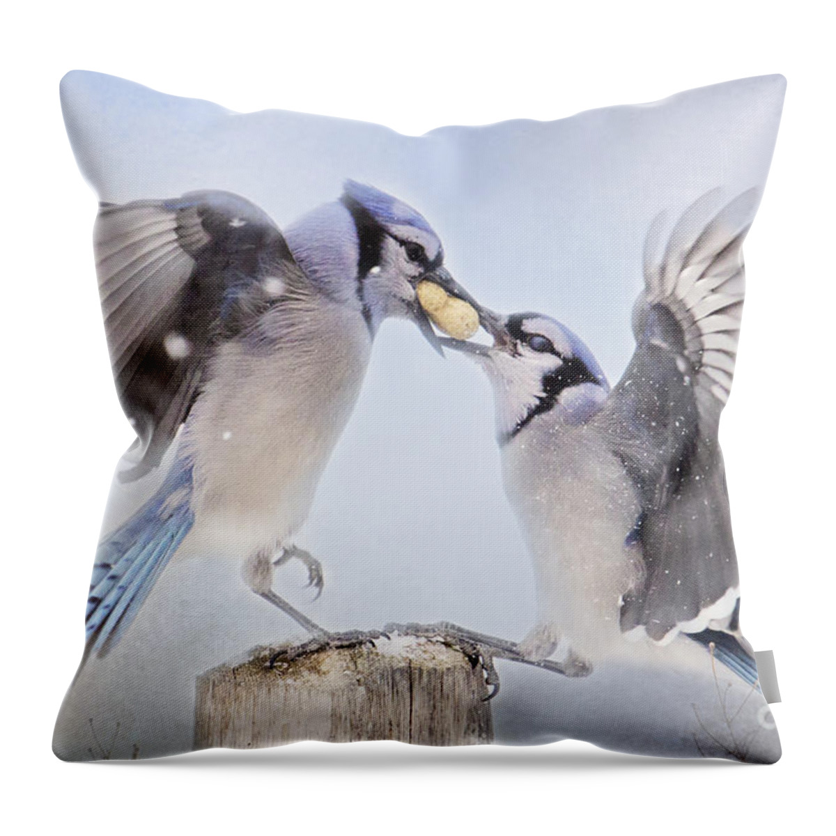 Birds Throw Pillow featuring the photograph Dueling Jays by Pam Holdsworth