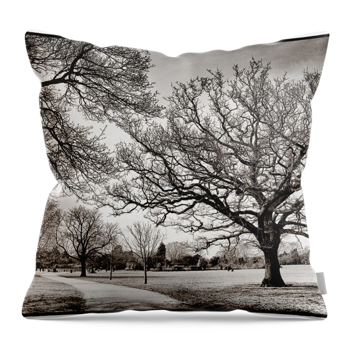 Dulwich Park Throw Pillow featuring the photograph Dulwich Park by Lenny Carter