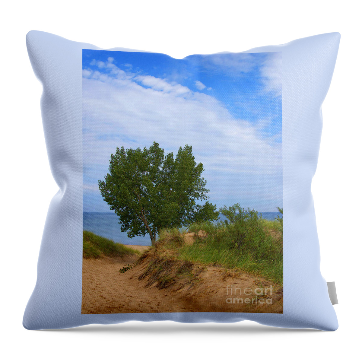 Dune Throw Pillow featuring the photograph Indiana Dunes National Park by Ann Horn