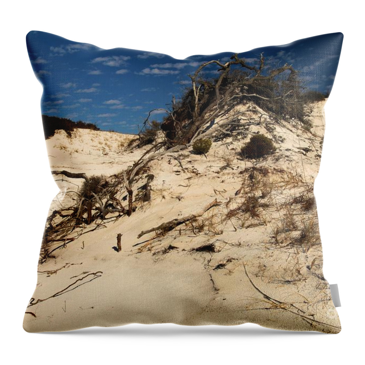 St Joseph Peninsula State Park Throw Pillow featuring the photograph Dune Glue by Adam Jewell