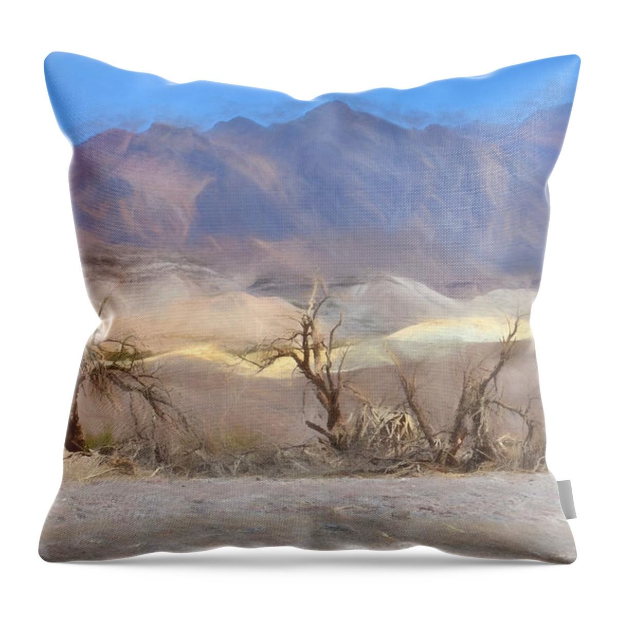 California Throw Pillow featuring the photograph Dunes by Ricardo Dominguez