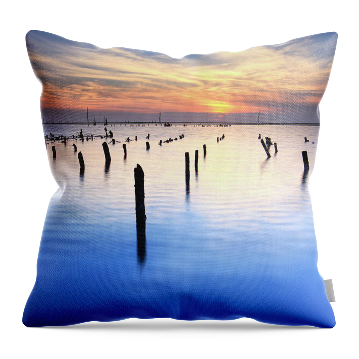 Tranquility Throw Pillow featuring the photograph Dusk At Oyster Field by Thunderbolt tw (bai Heng-yao) Photography