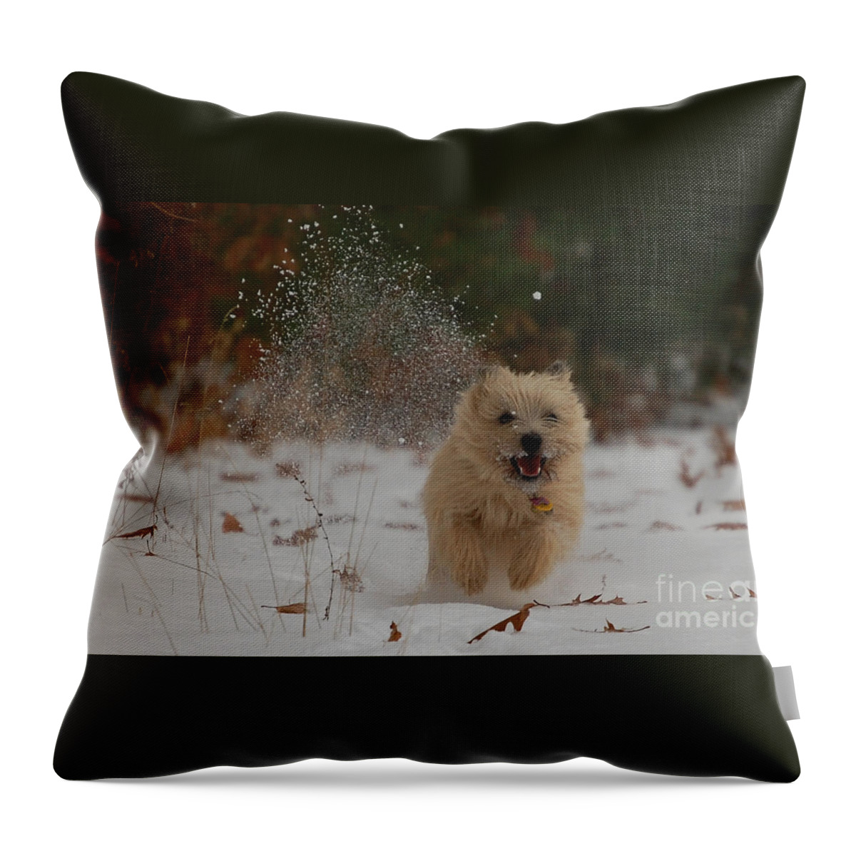  Throw Pillow featuring the painting Dusted by Molly Poole
