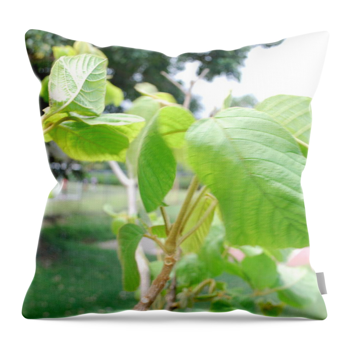 Tree Green Field Throw Pillow featuring the photograph duy by Rebeca Segura