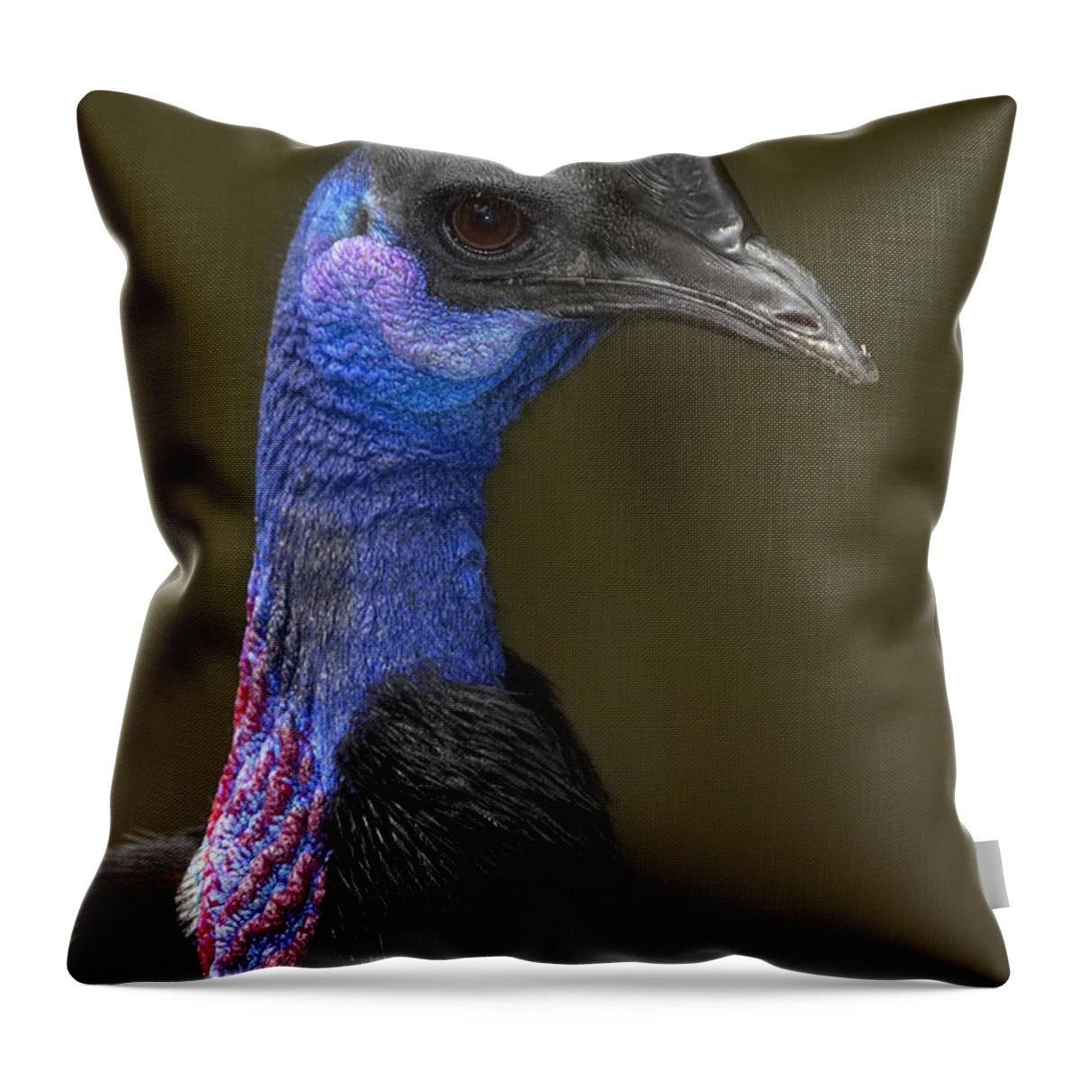 Feb0514 Throw Pillow featuring the photograph Dwarf Cassowary Portrait by San Diego Zoo