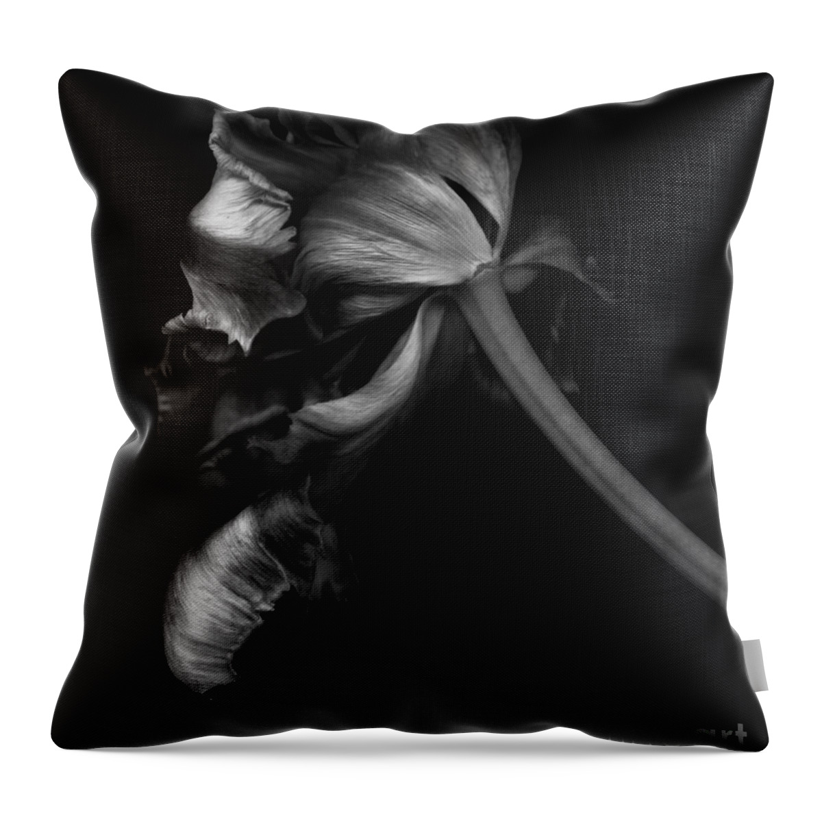 Age Throw Pillow featuring the photograph Dying Beauty by Oscar Gutierrez