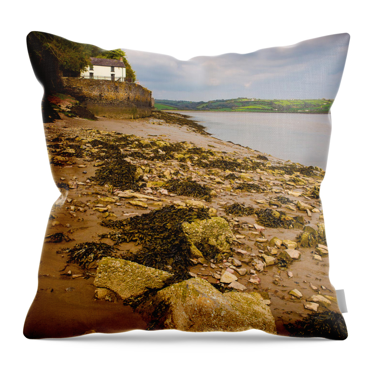 Blue Throw Pillow featuring the photograph Dylan Thomas House by Mark Llewellyn