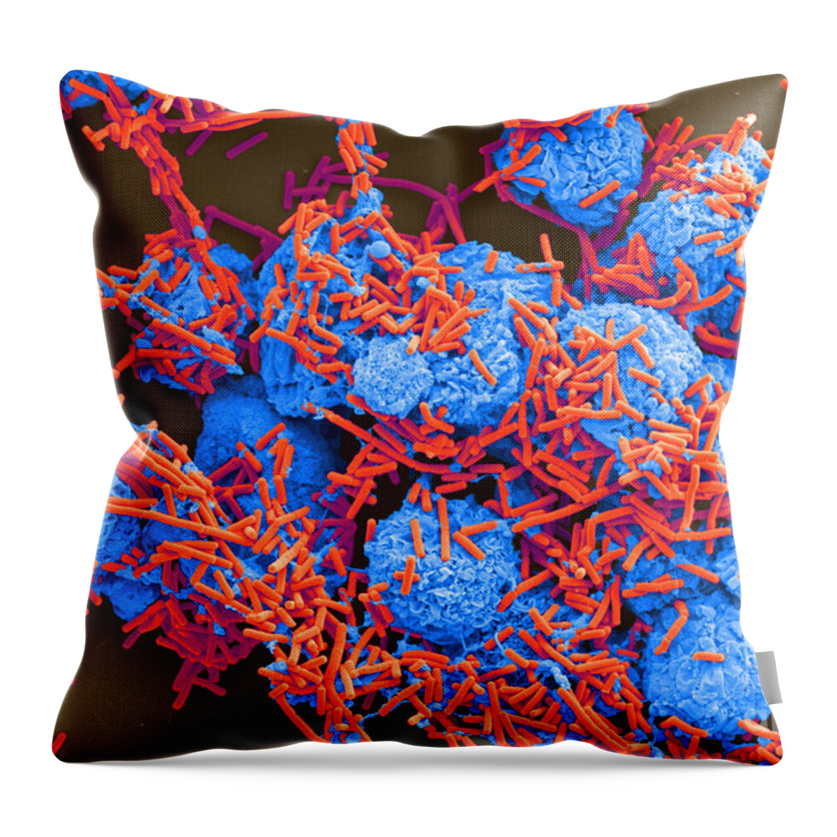 Science Throw Pillow featuring the photograph E Coli And Macrophages Sem by Science Source