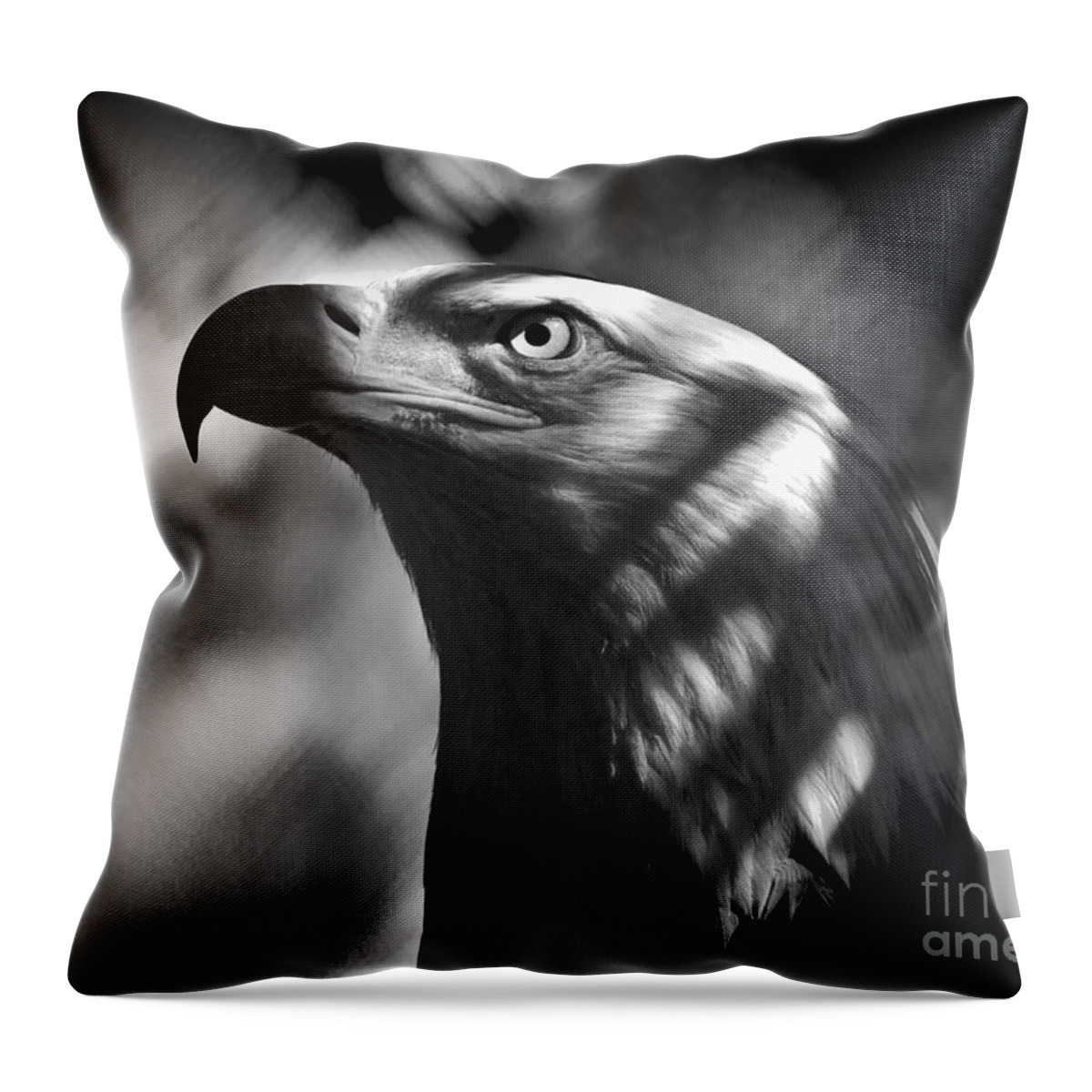 America Throw Pillow featuring the photograph Eagle In Shadows by Robert Frederick