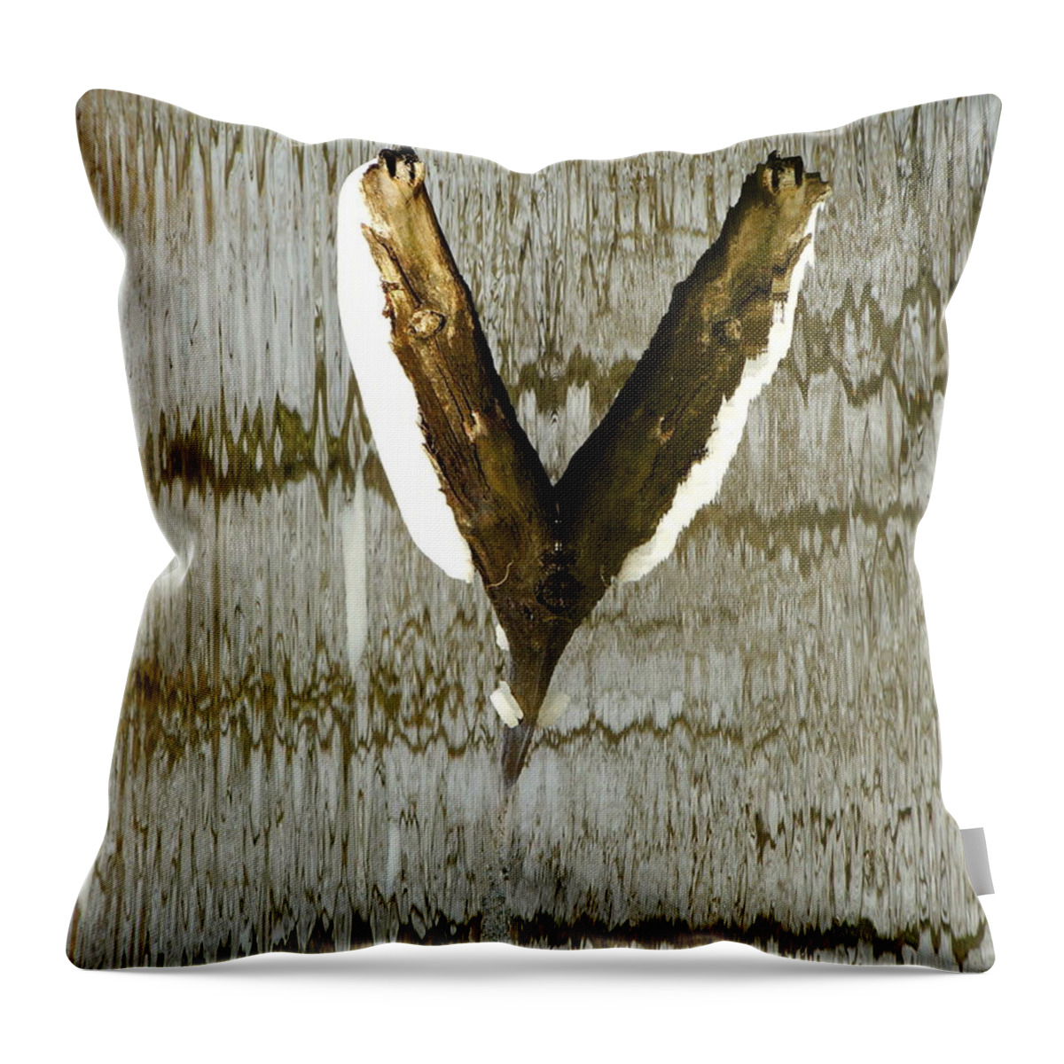 Abstract Throw Pillow featuring the photograph Eagle Wings by Marcia Lee Jones