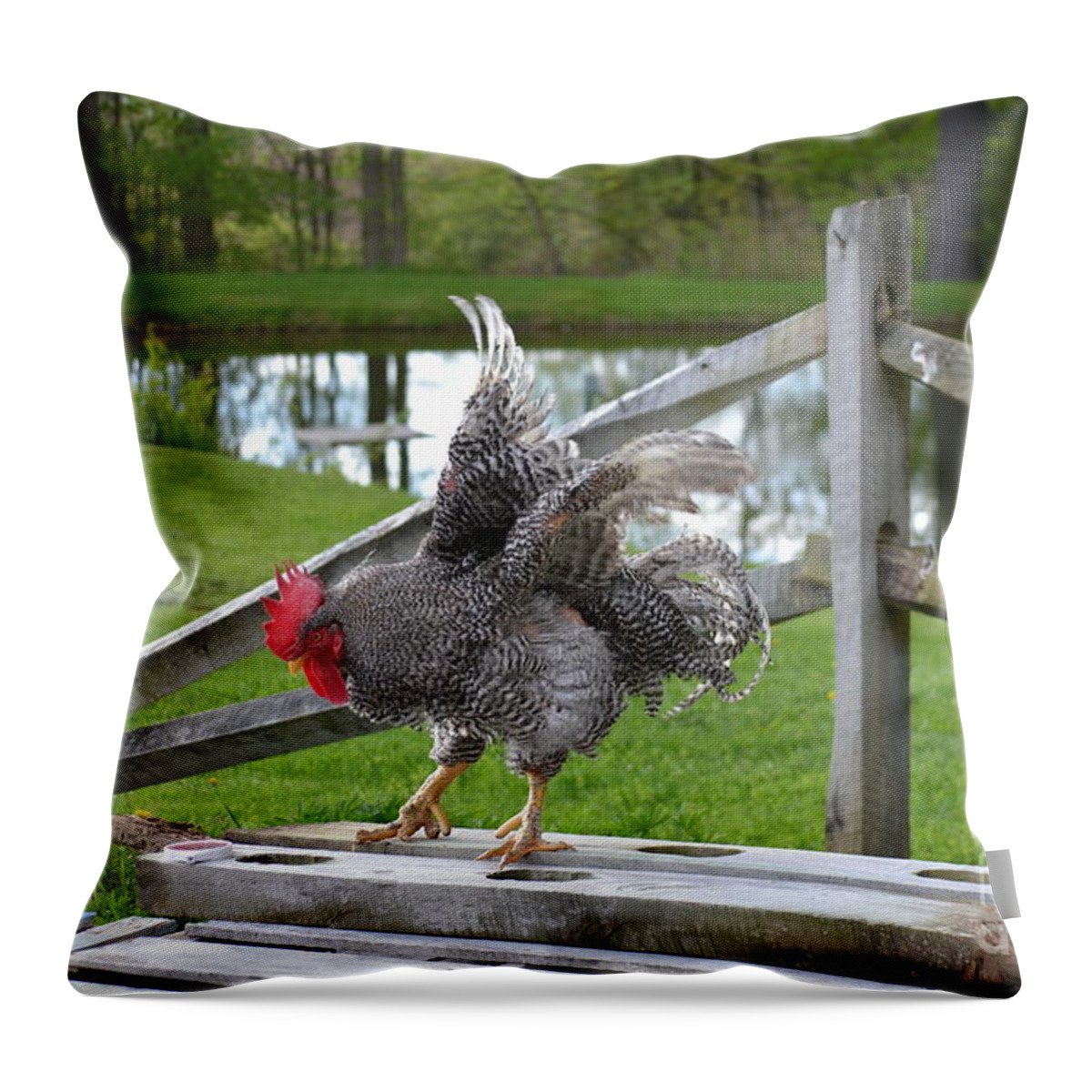 Vermont Throw Pillow featuring the photograph Eagle with a red chapeau by Susan Russo